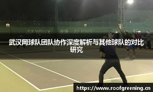 武汉网球队团队协作深度解析与其他球队的对比研究